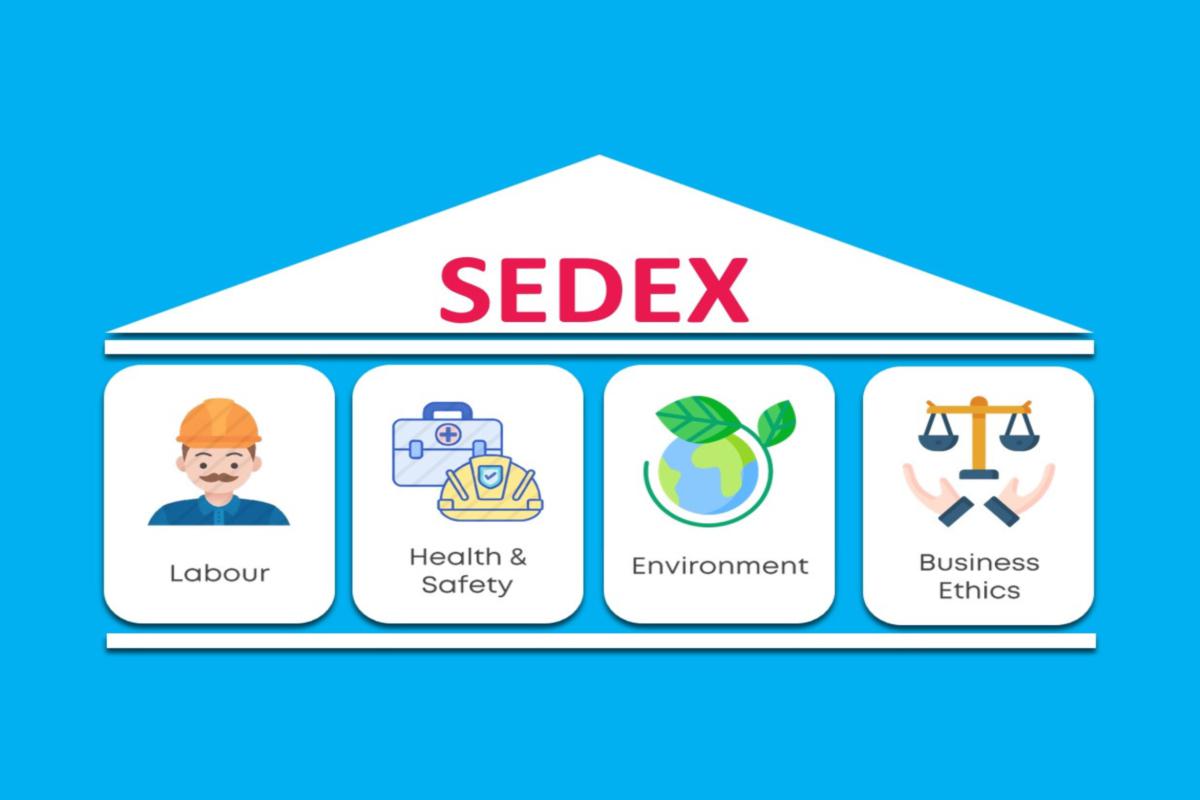 Ecovadis & Sedex Consultancy