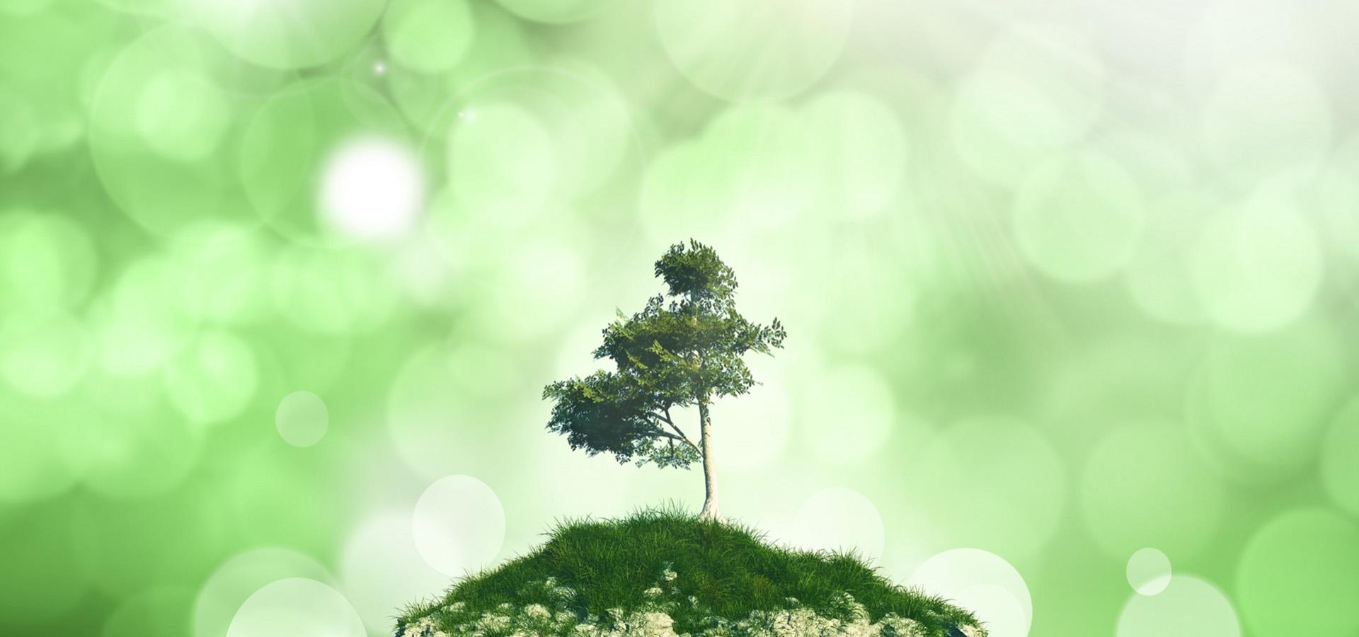 Preserving nature for a better earth tomorrow!